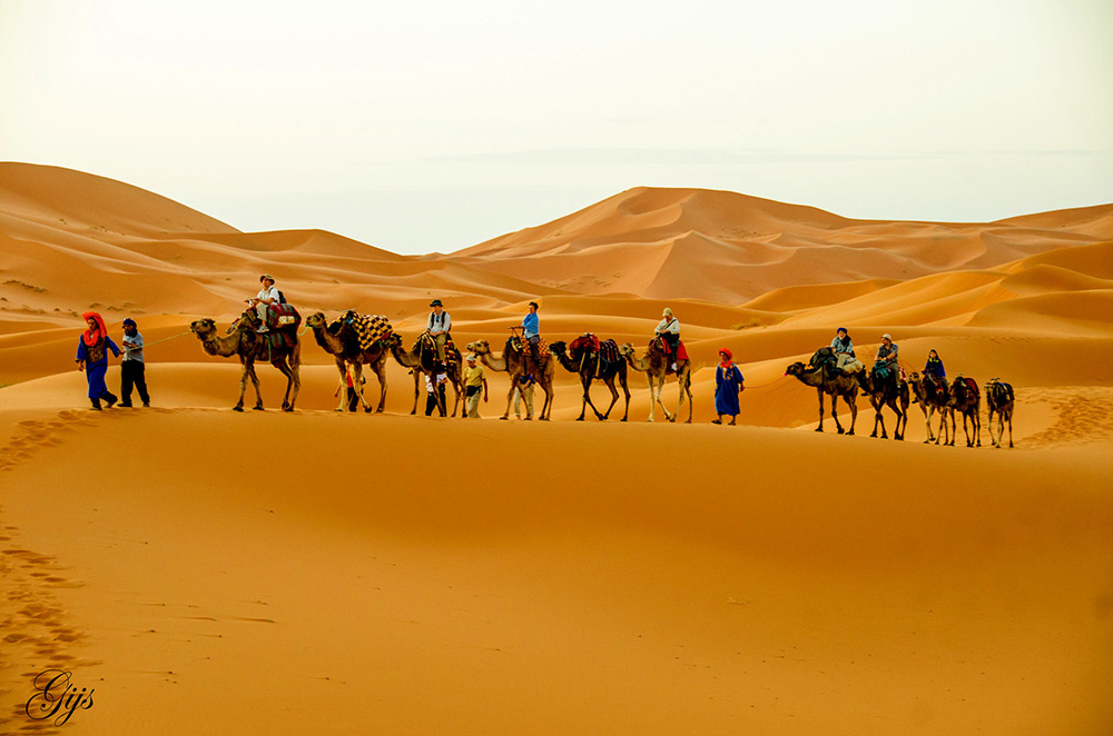 Camel-Trekking-sahara