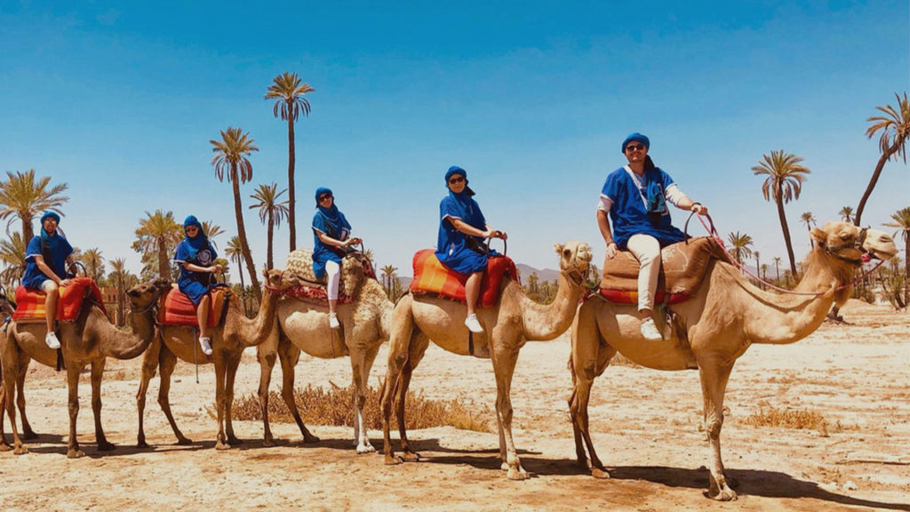 half-day-camel-ride-marrakech-palm