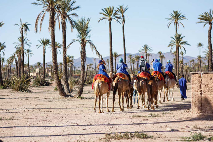 Half Day Camel Ride in Marrakech