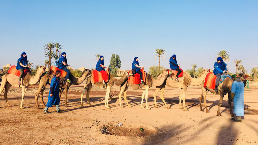 half-day-camel-ride-marrakesh-palm